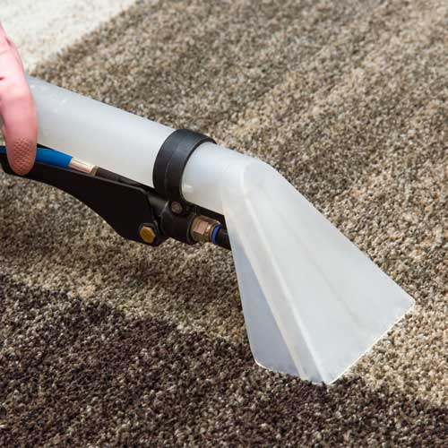 Carpet Cleaning Suction | Metro Flooring & Design